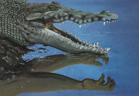 Chuck Baird Crocodile Dundee