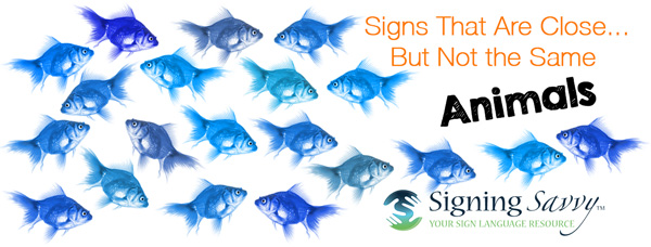 Signs That Are Close... But Not the Same — Animals