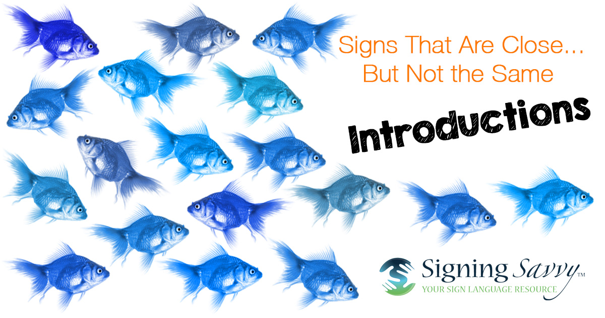 Indicators That Are Shut… However Not the Identical — Introductions