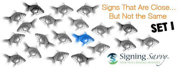Signs That Are Close... But Not the Same - Set 1
