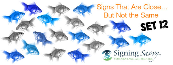 Signs That Are Close... But Not the Same - Set 12