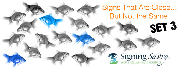 Signs That Are Close... But Not the Same - Set 3