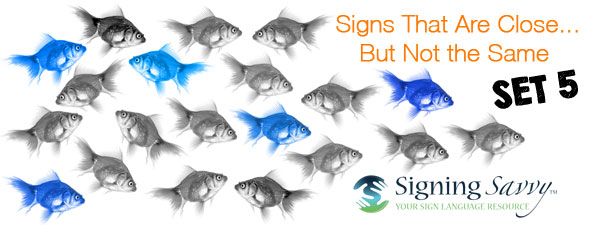 Signs That Are Close... But Not the Same - Set 5