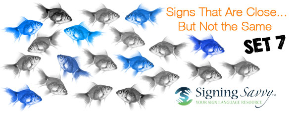 Signs That Are Close... But Not the Same - Set 7