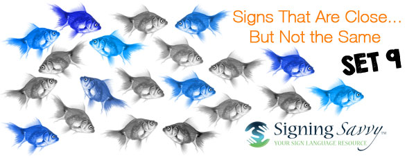 Signs That Are Close... But Not the Same - Set 9