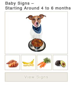 Baby Signs - Starting Around 4 to 6 Months