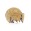 Armadillo