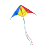 Kite
